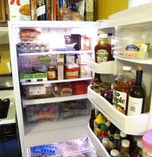 My Fitness Diary: 12.08.09 "the Fridge"