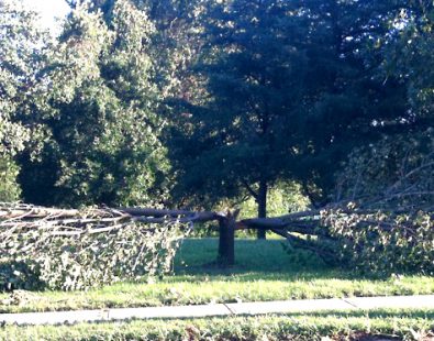 Hurricane Sandy and Yoga: What We Learn From Weathering Life’s Biggest Storms