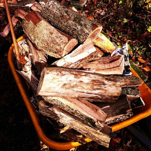 hurricane_sandy_athena_firewood_bexlife