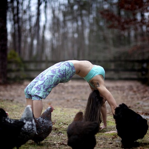 yoga_chickens_bexlife