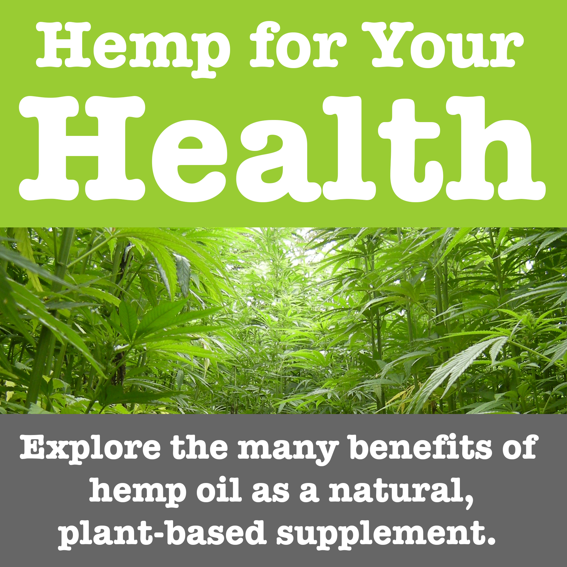 Hemp for Your Health: The Benefits of Hemp Oil