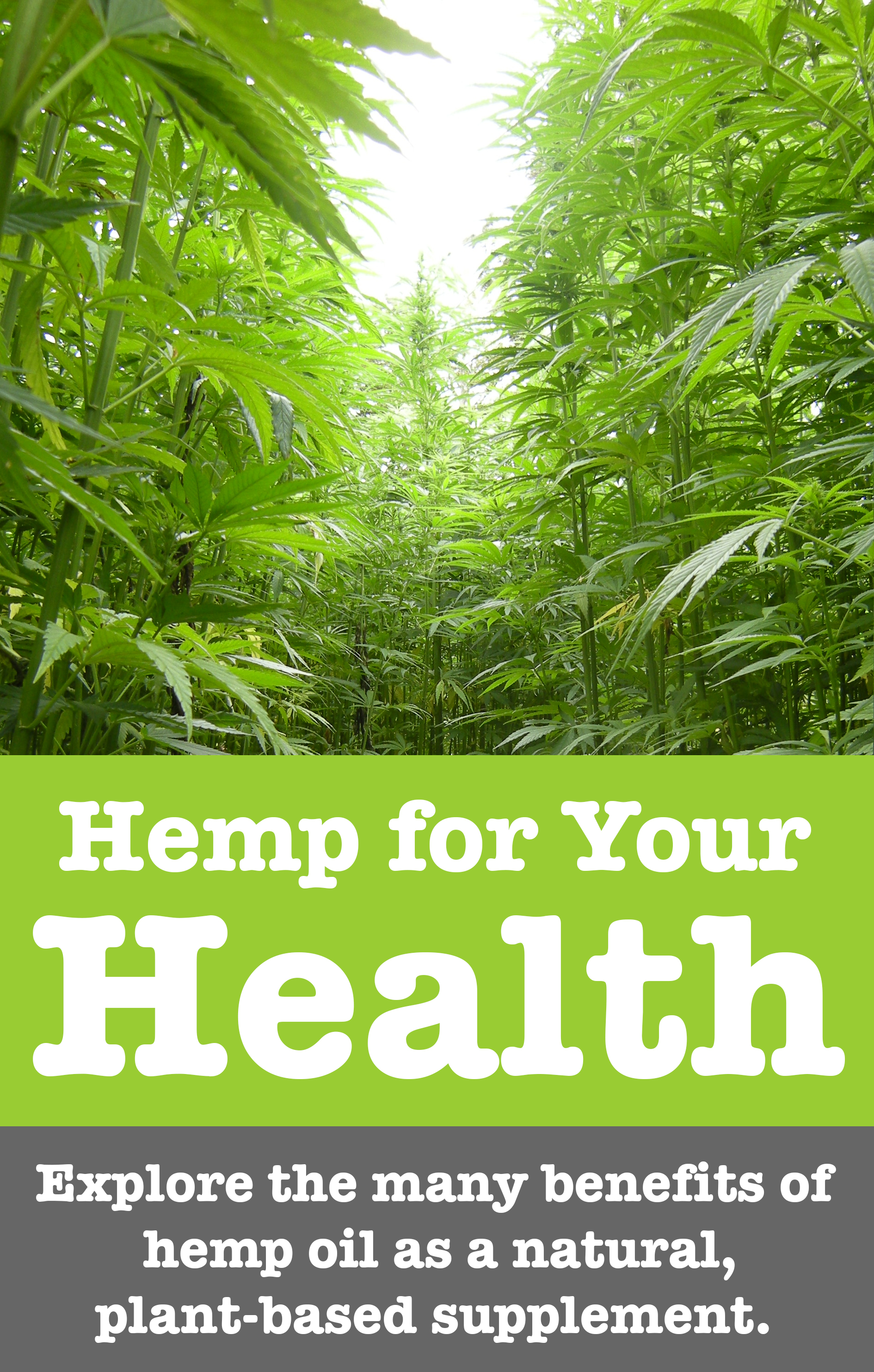 Explore the many benefits of hemp oil for your health.
