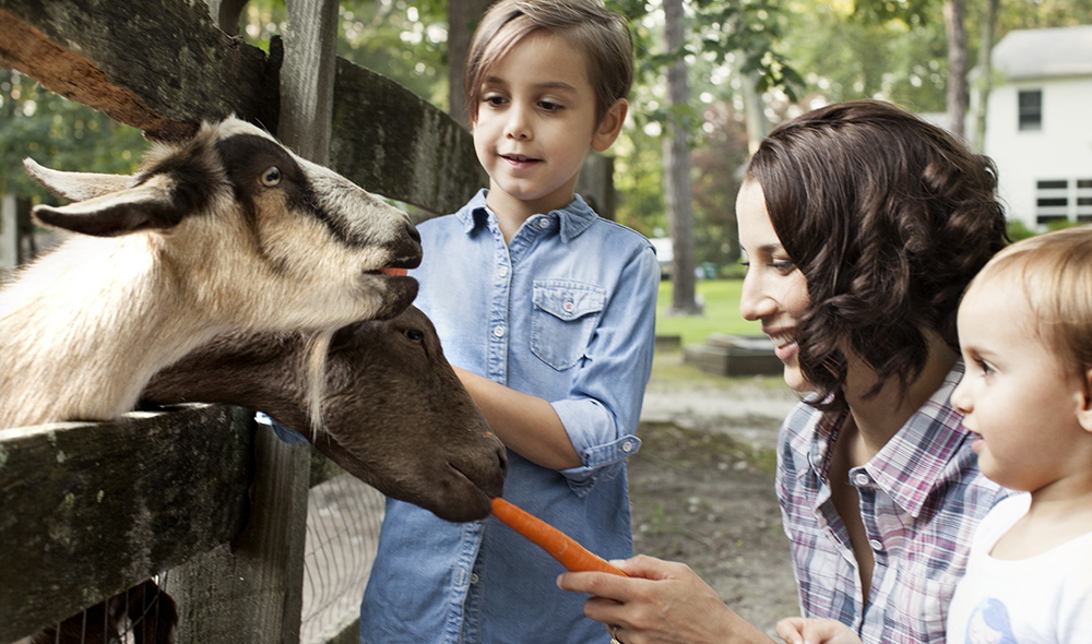 Thinking Outside the Meditation Box: 7 Simple Ways for a Busy Mom to De-Stress